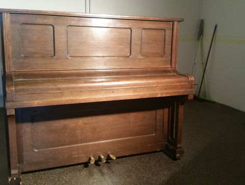 20170203_103953.jpg